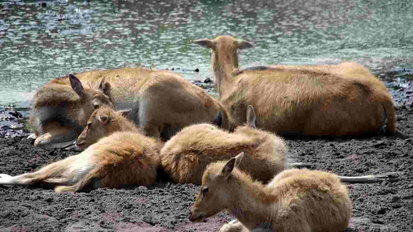 Important Information for Serengeti National Park