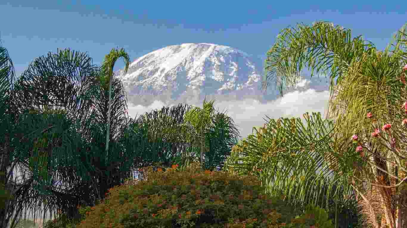 Kilimanjaro Mountain Peak