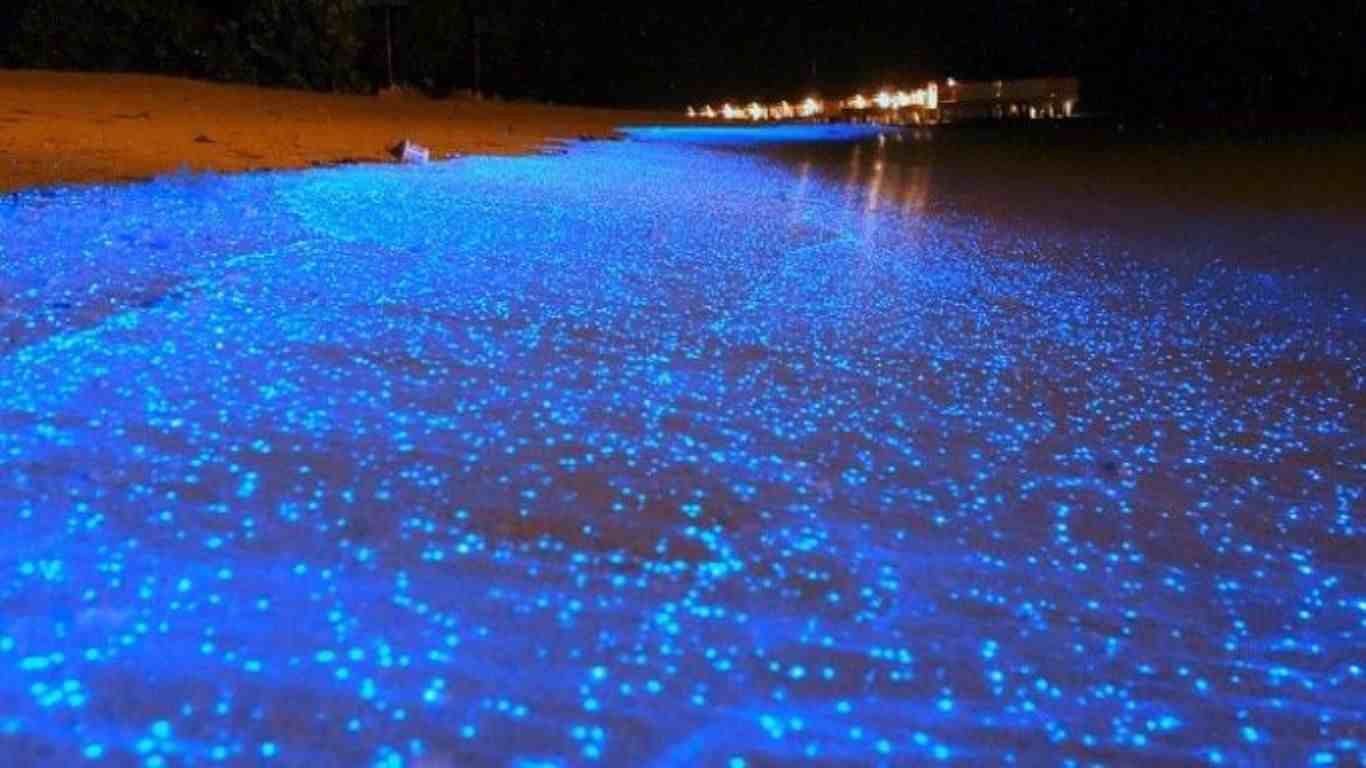 Maldives Island Sea of Stars