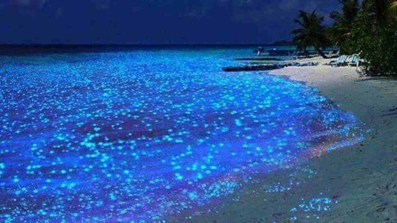 Maldives Island Sea of Star