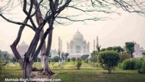 Mehtab Bagh/Taj Mahal: The Most Amazing Place in The World