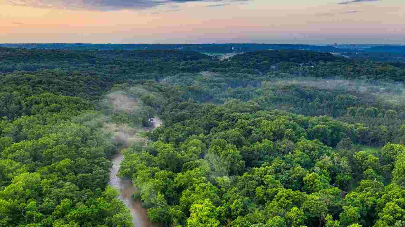 The Hidden Secrets of the Amazon Rainforest