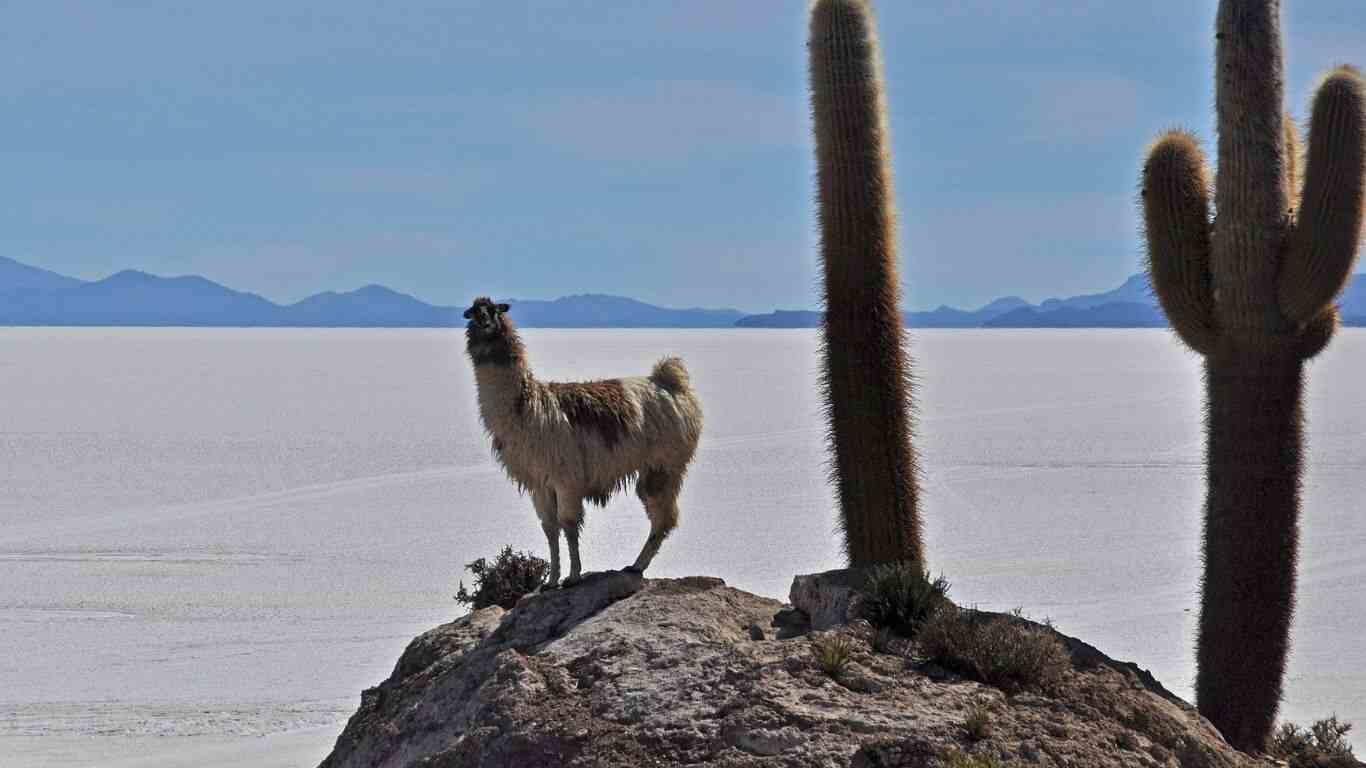 Uyuni in Bolivia