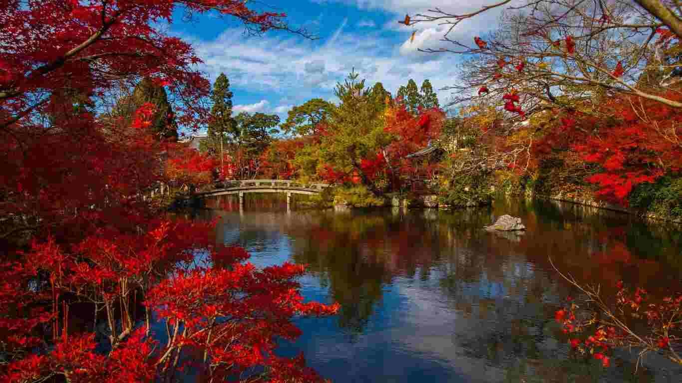 Why Kyoto, The Heart of Japan