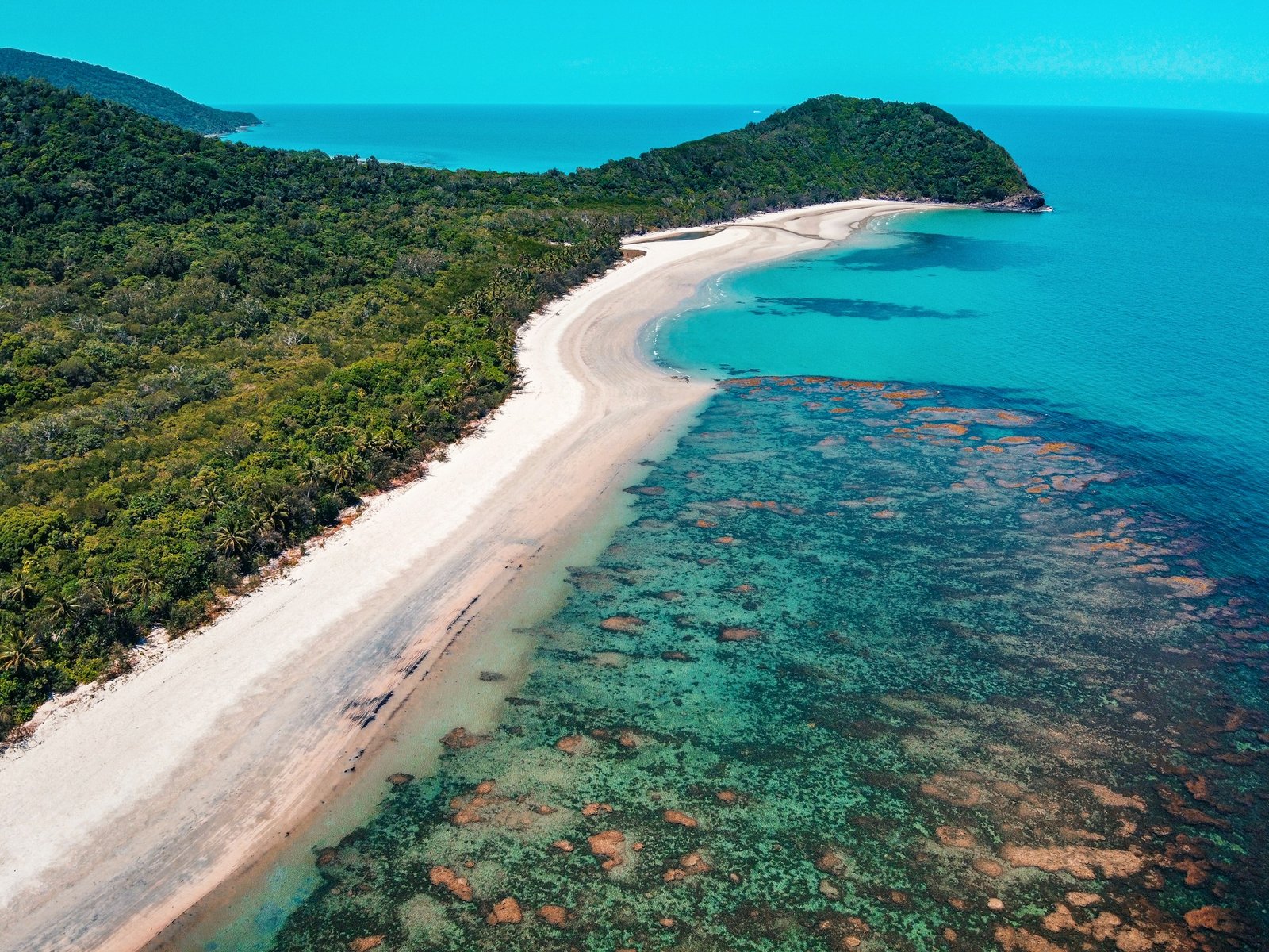 Daintree Rainforest in Australia