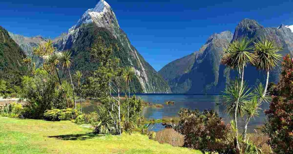 Milford Sound in New Zealand